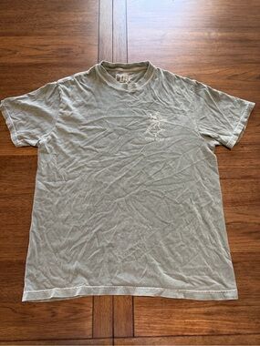 Cove Short Sleeve Tee in Sage Green with Chest Logo